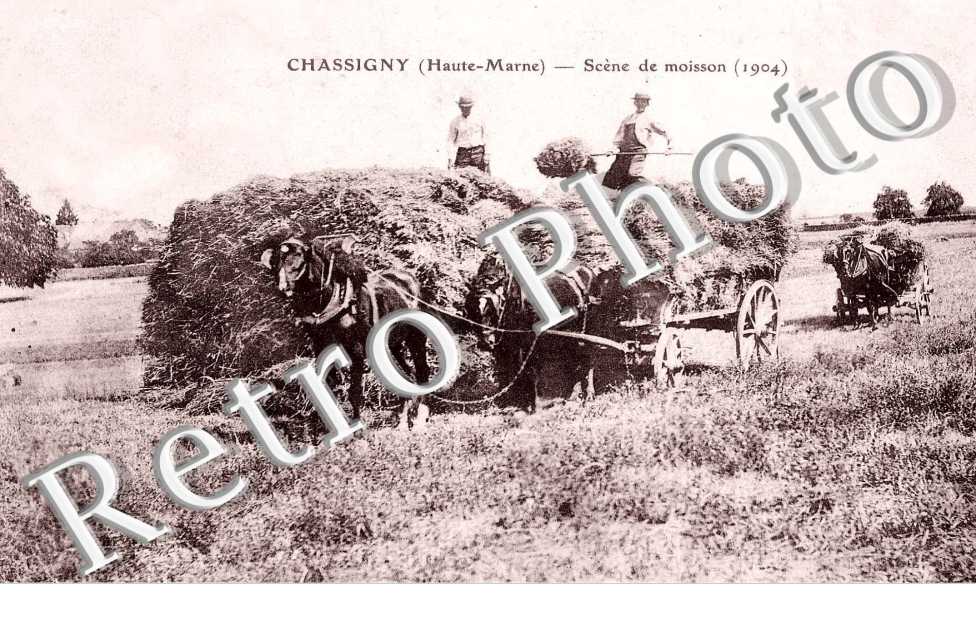 Scene de moisson