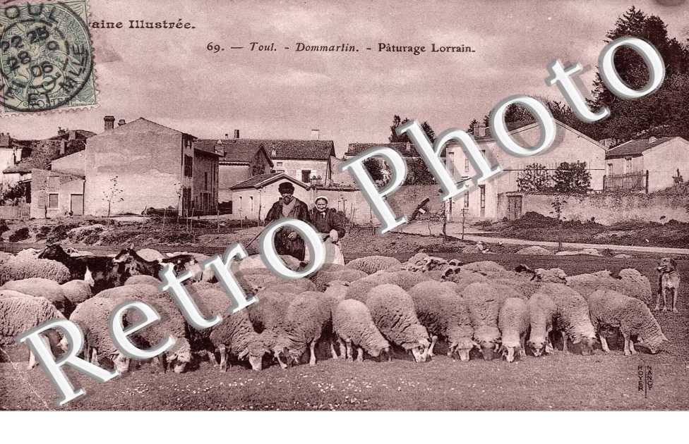 paturage lorrain
