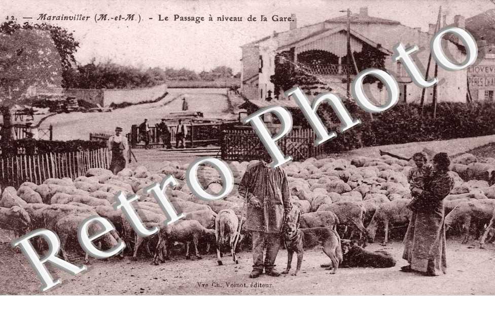 passage a niveau de la gare