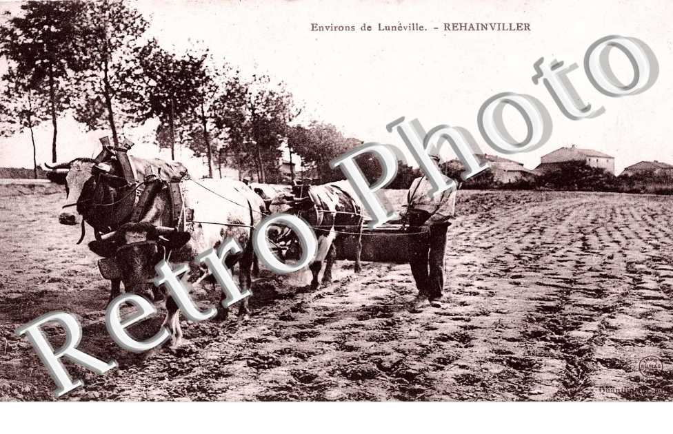 ENVIRONS DE LUNEVILLE