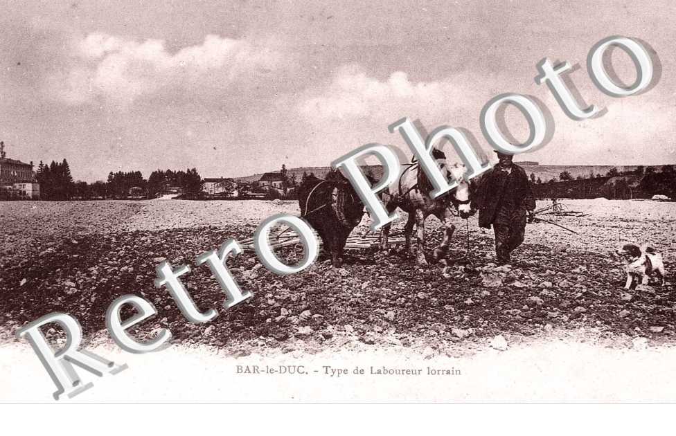 type de laboureur lorrain