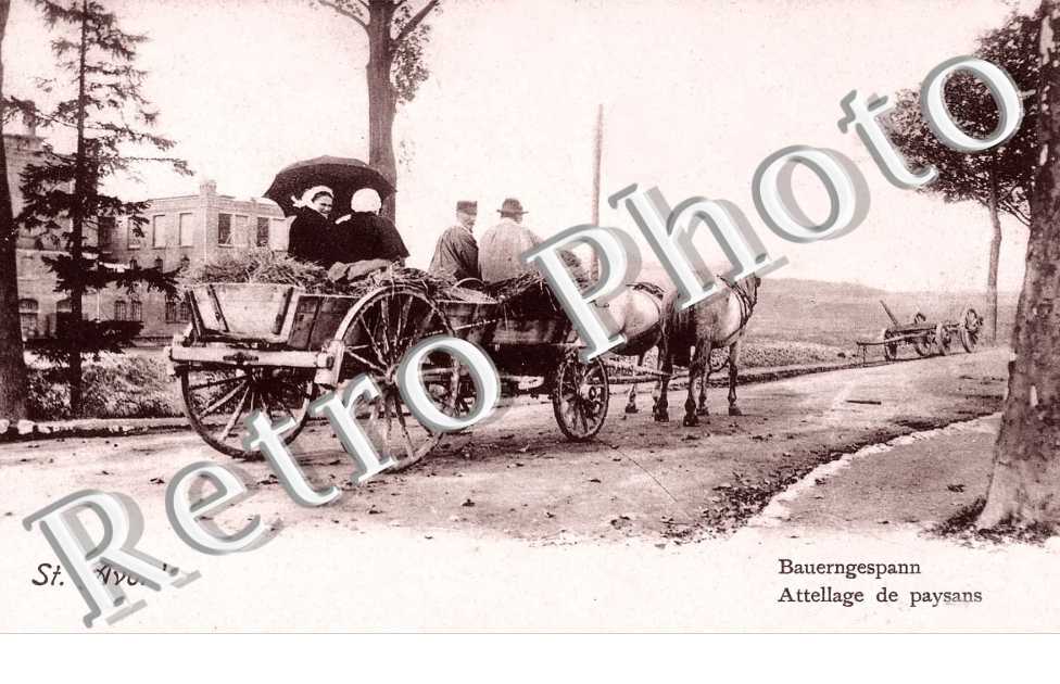 ATTELAGE  DE PAYSANS