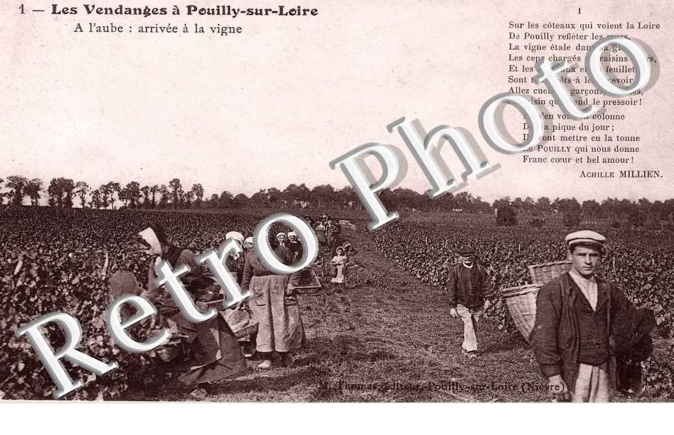 les vendanges - a l&#039;aube, arrivee a la vigne