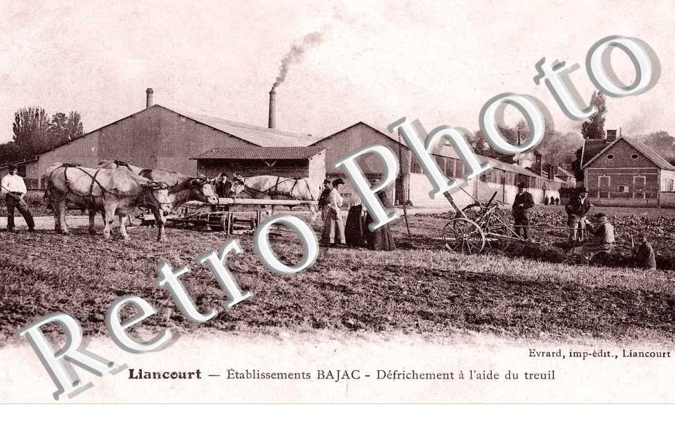 etablissements Bajac, defrichement a l' aide du treuil