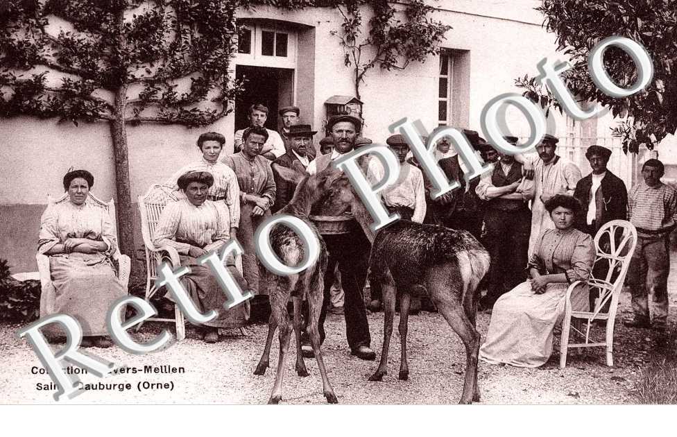 Un groupe de personnes et  deux daims