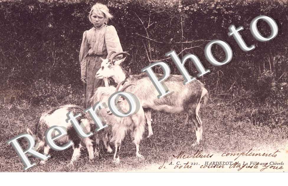 la fille aux chevres
