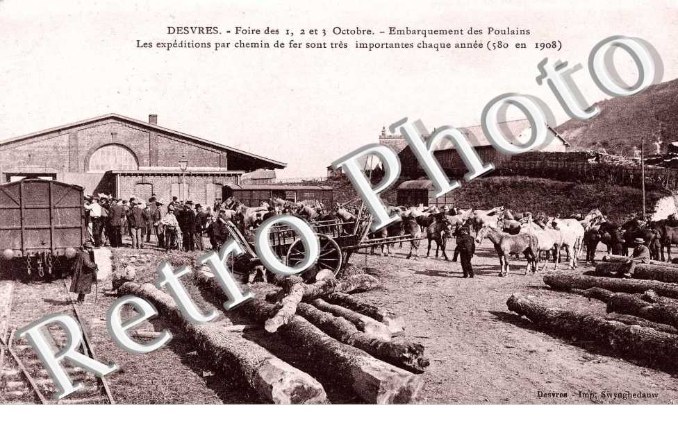 embarquement des poulains