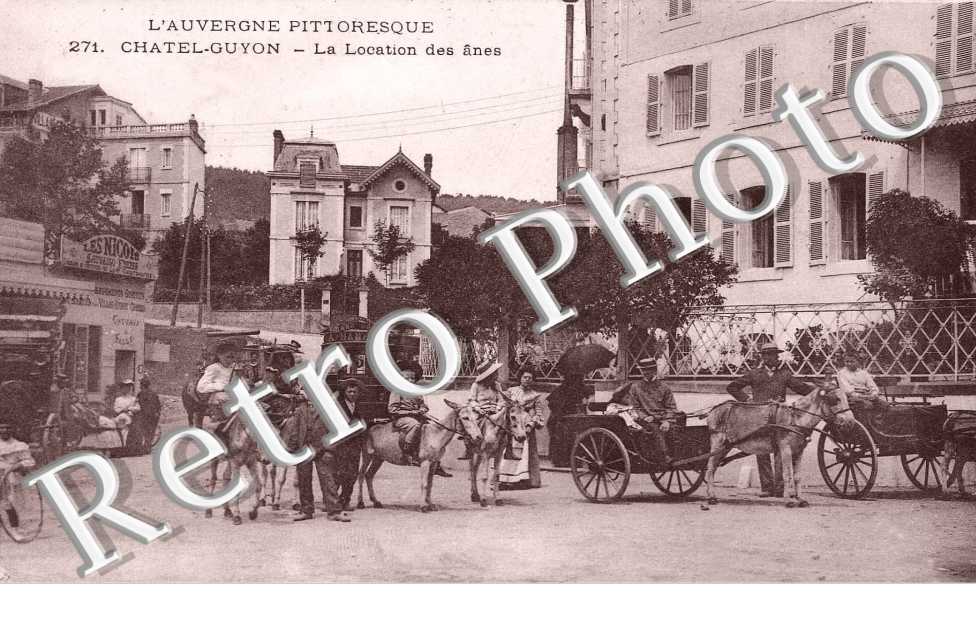 LA location des anes