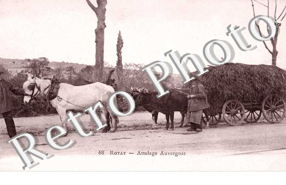 Attelage Auvergnat