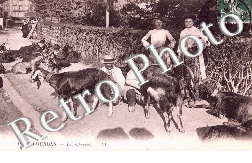 LES CHEVRES