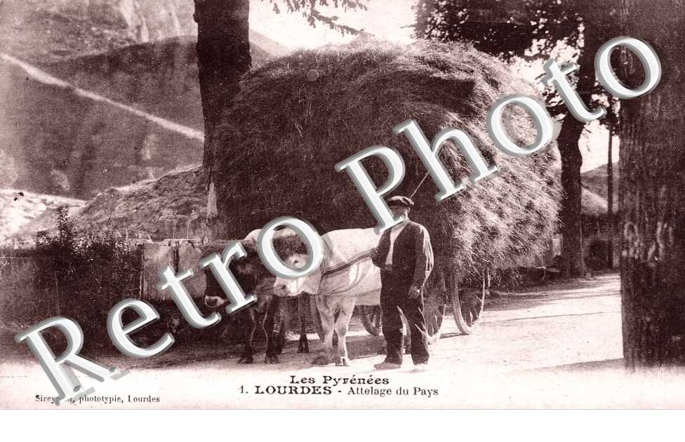 ATTELAGE  DU PAYS