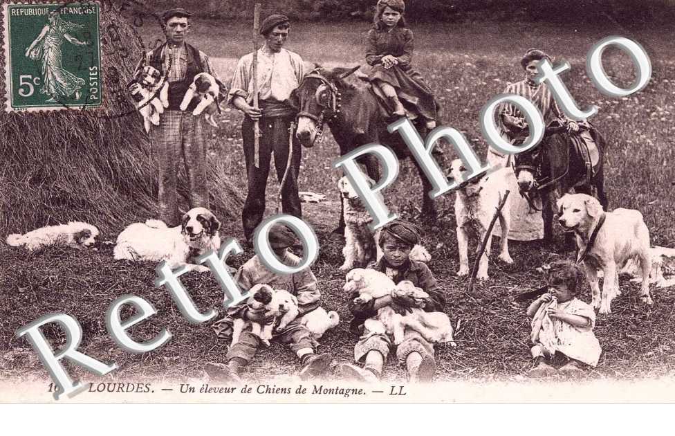UN ELEVEUR DE CHIENS DE MONTAGNE