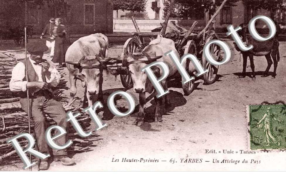 Un Attelage du Pays