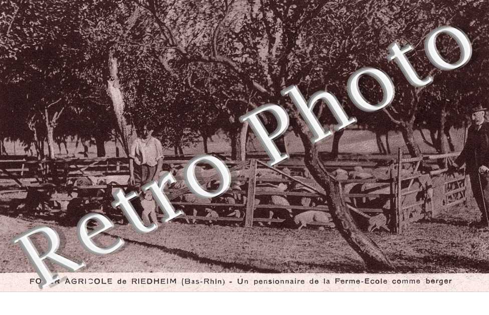 Foyer agricole  - un pensionnaire