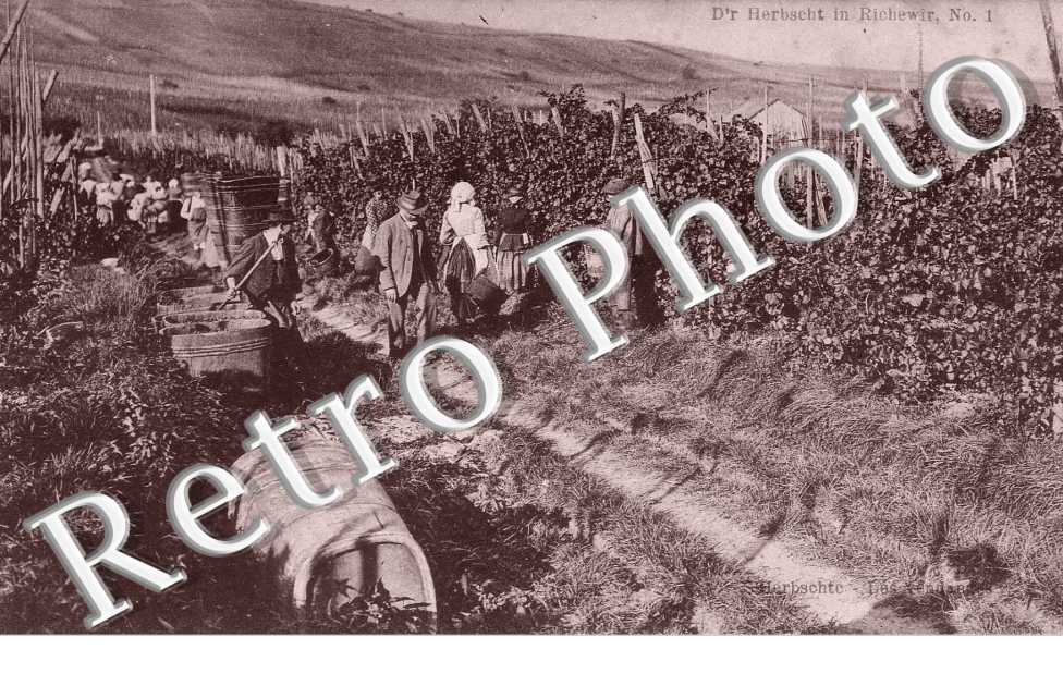 D'R HERBSCHT IN RICHEWIR