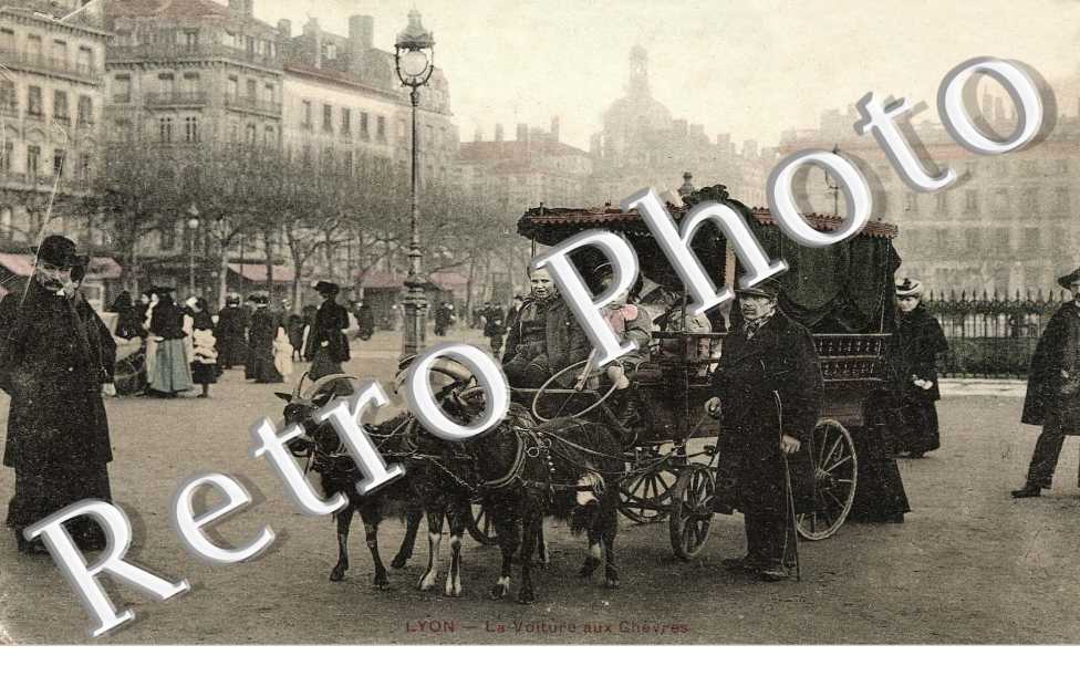 Bellecour La voiture aux chevres