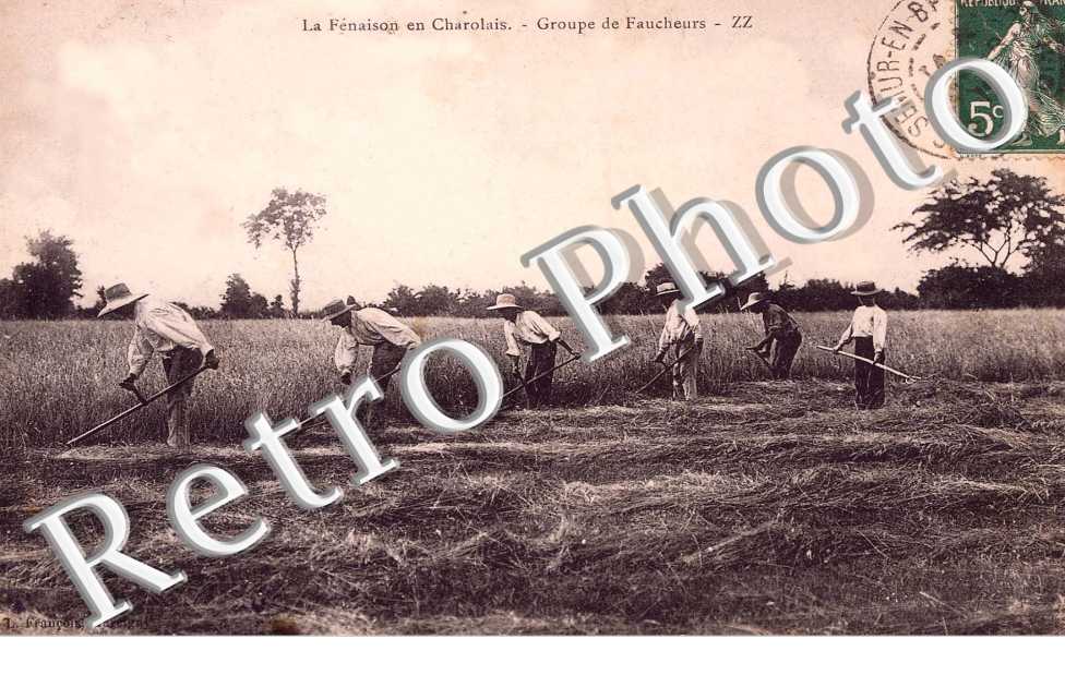 La fenaison en Charolais - Groupe de faucheurs - agriculture