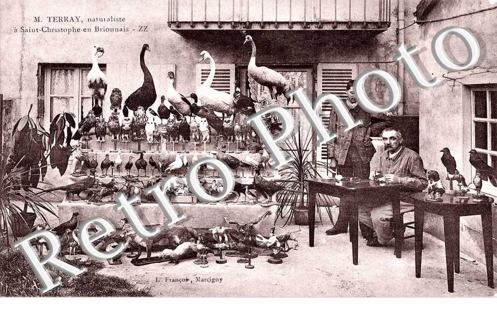 TE M. Terray , naturaliste
