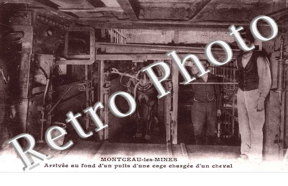 ARRIVEE AU FON D&#039;U PUITS D&#039;UNE CAGE