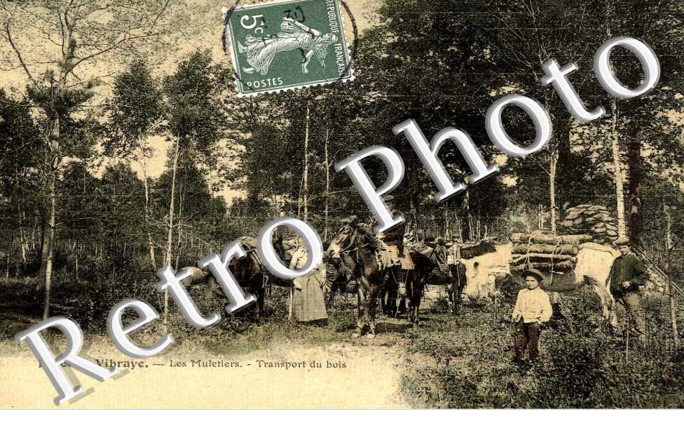 Les muletiers - transport du bois 