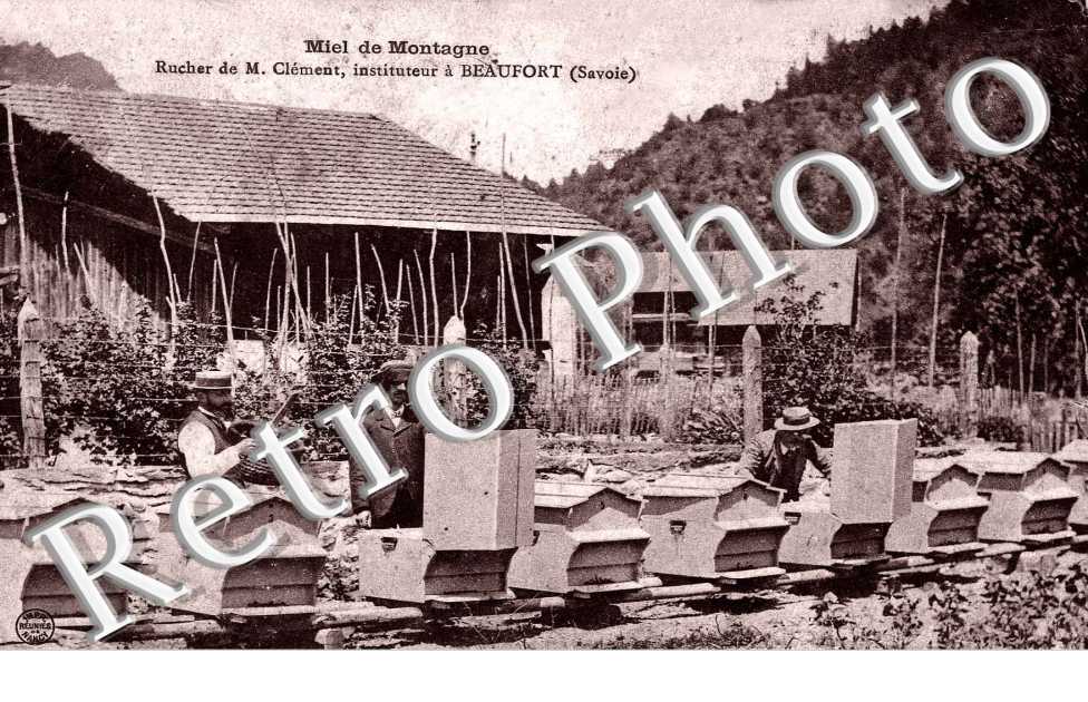 Miel de montagne - M. Clement instituteur (apiculture)