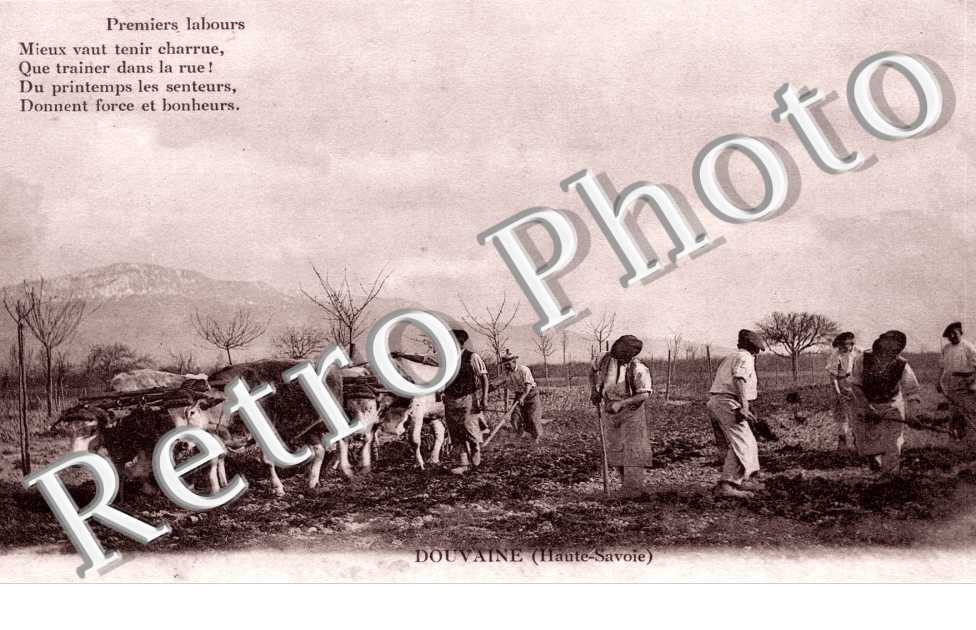 Premiers Labours - agriculture