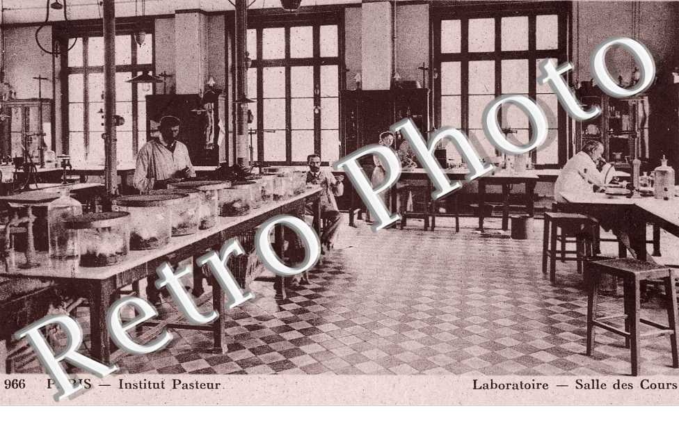 institut pasteur  laboratoire  Salle des cours