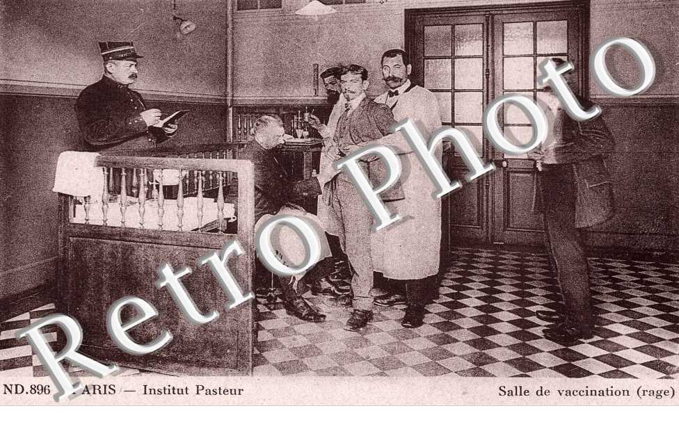 INSTITUT PASTEUR  SALLE DE VACCINATION  RAGE