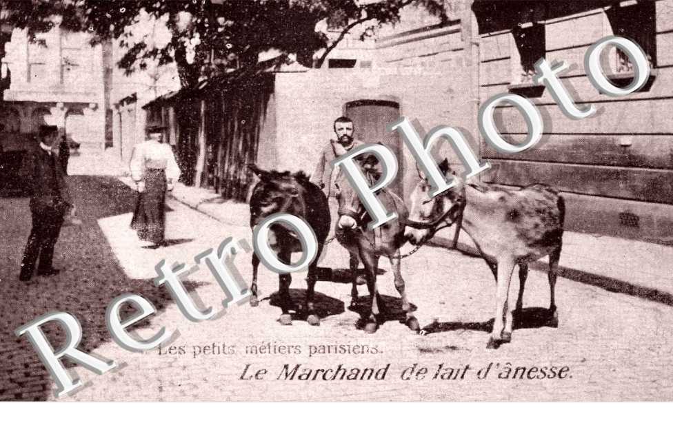 le marchand de lait d&#039;anesse