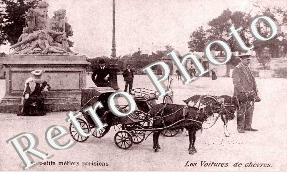les Petits metiers parisiens  Les voitures de chevres