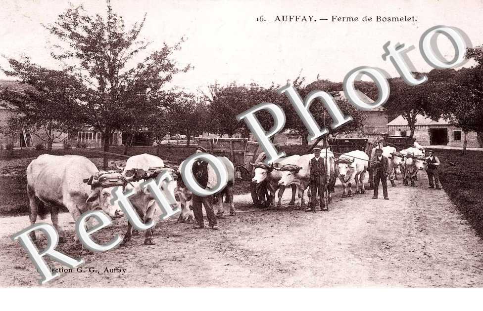 Ferme de Bosmelet