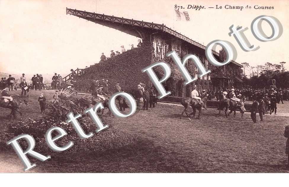 Le champ de courses - equitation sport