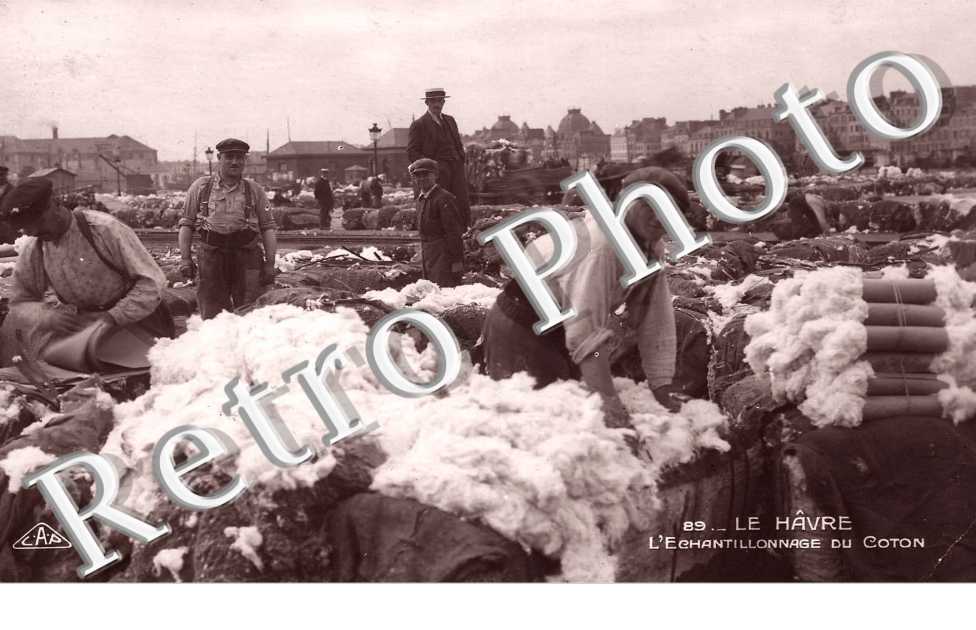 L'Echantillonnage du Coton