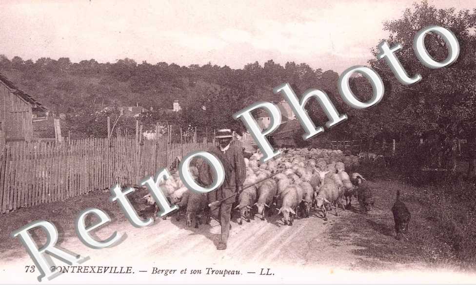 Berger et son troupeau