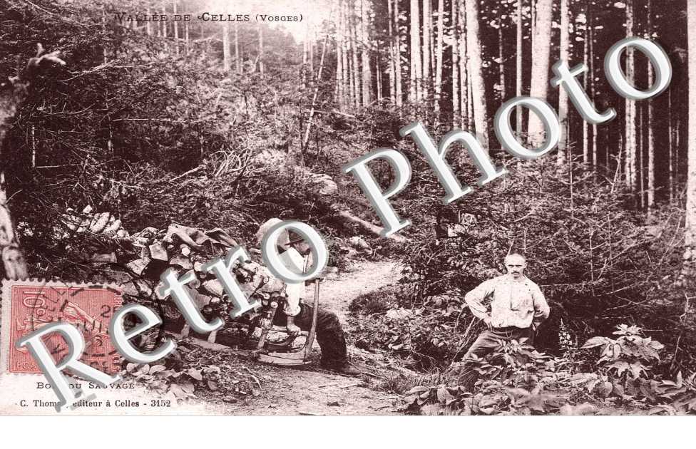 Bois du sauvage