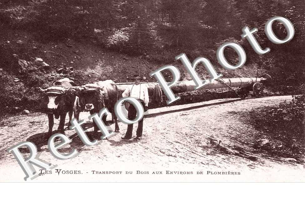Transport du bois