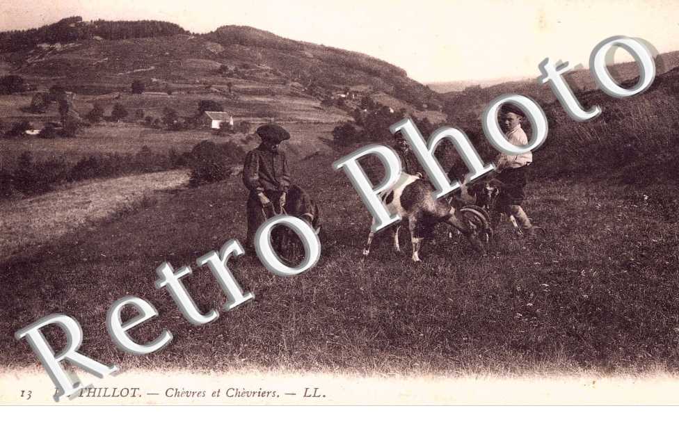 Chevres et chevriers