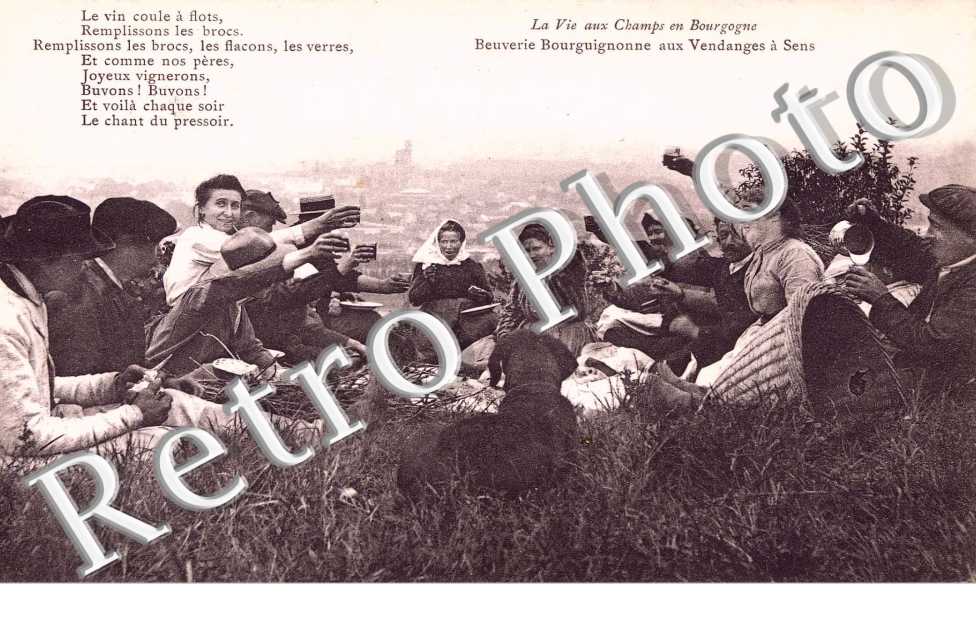 la vie aux champs en Bourgogne, beuverie bourguignonne aux vendanges a Sens