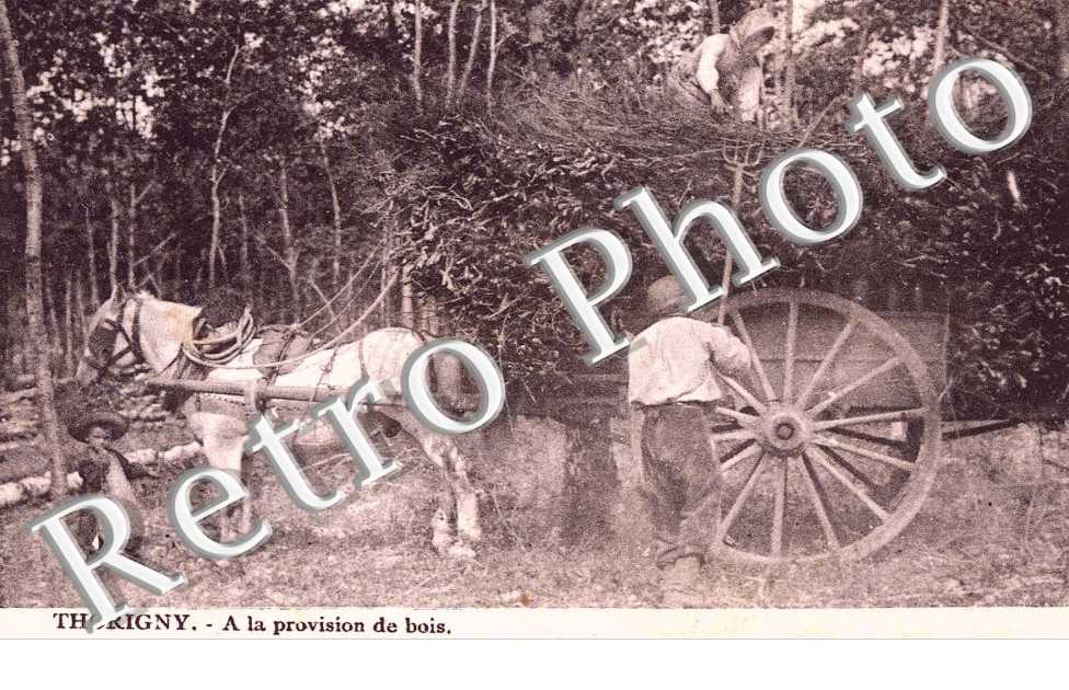 A la provison de bois
