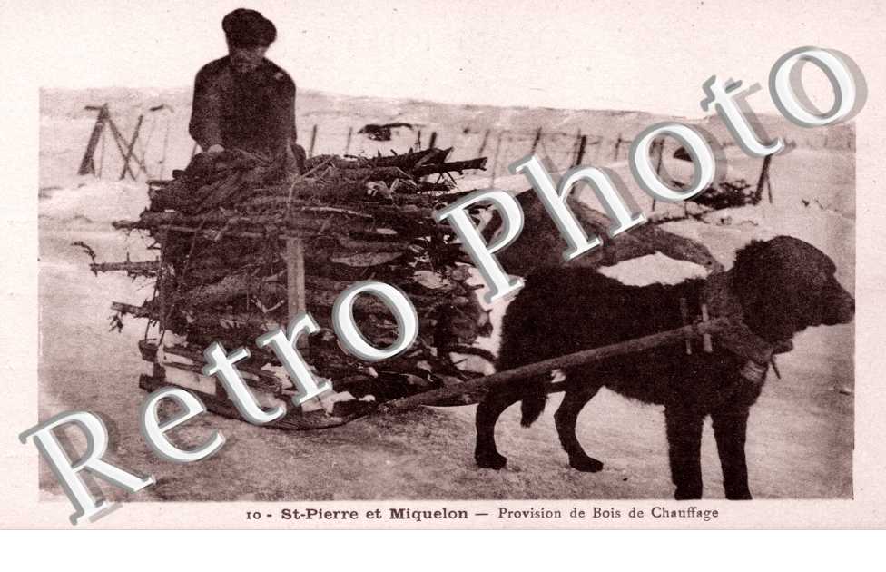 Provision de Bois de Chauffage