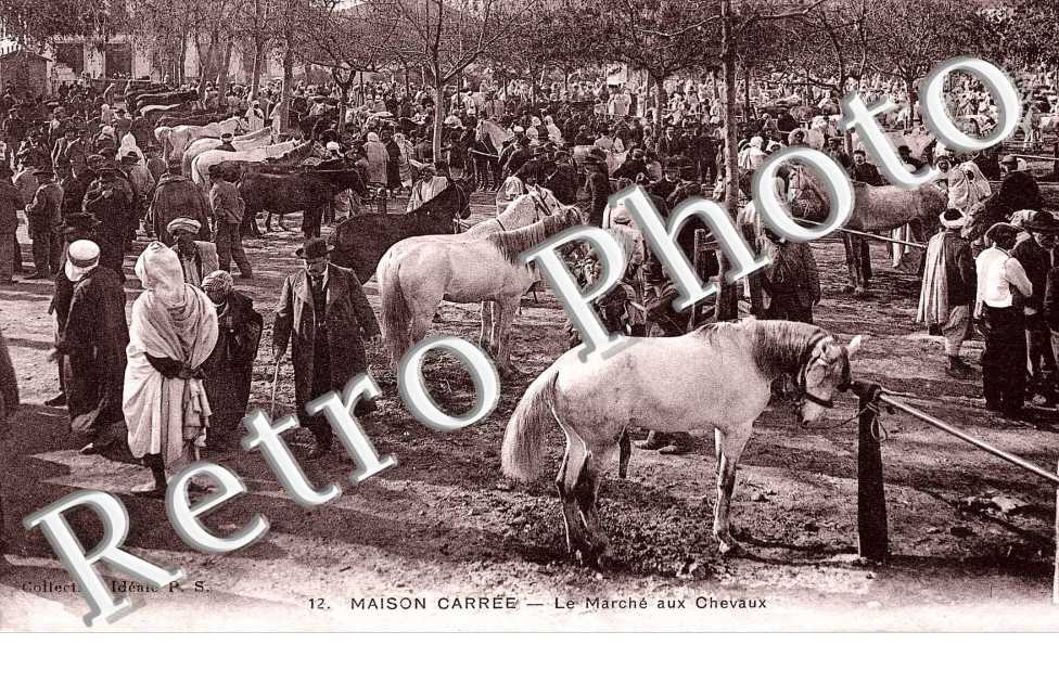 le marché aux Chevaux
