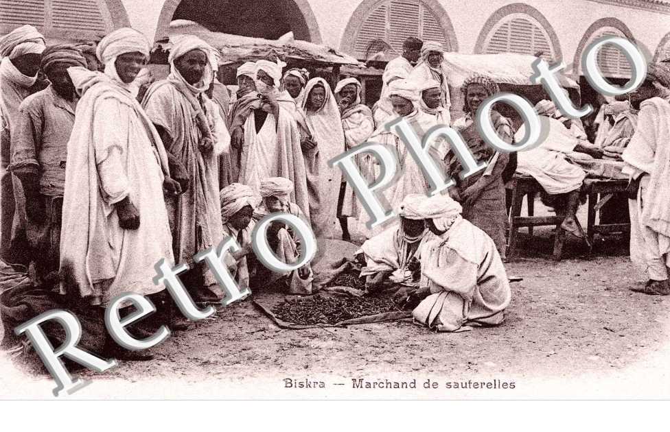 marchand de souterelle
