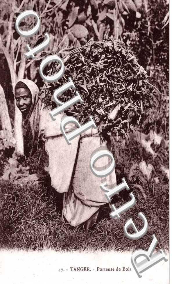 porteuse de bois