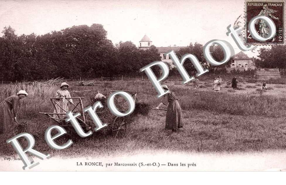 La ronce