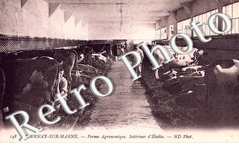 Ferme agronomique - interieur de l&#039;etable - elevage