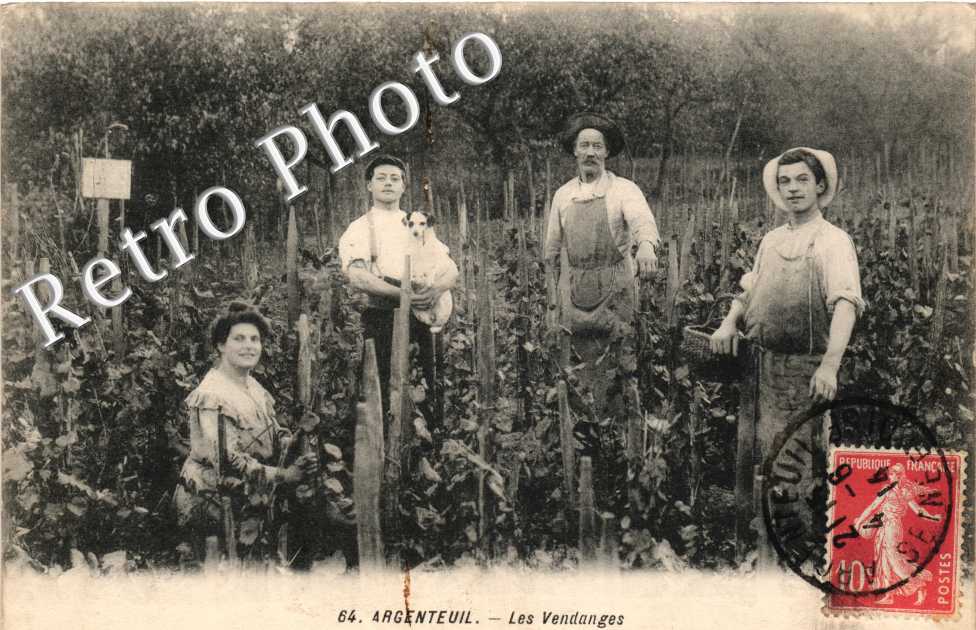 les vendanges