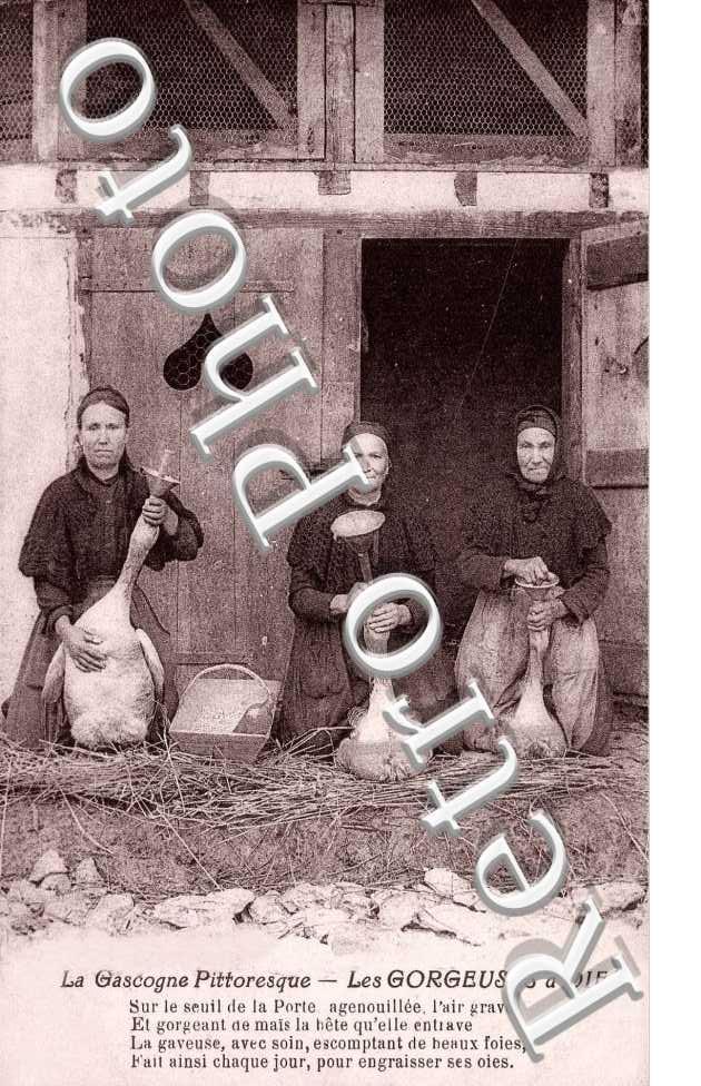 Les Gorgeuses d&#039;Oies