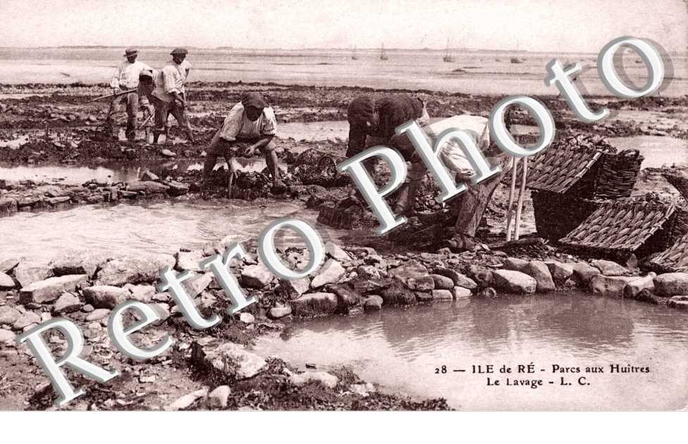 Parc aux huitres Le lavage