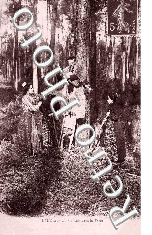 Un Concert dans la Forêt