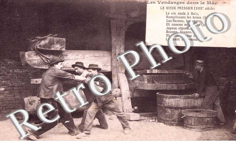 Les Vendanges et le Vieux Pressoir